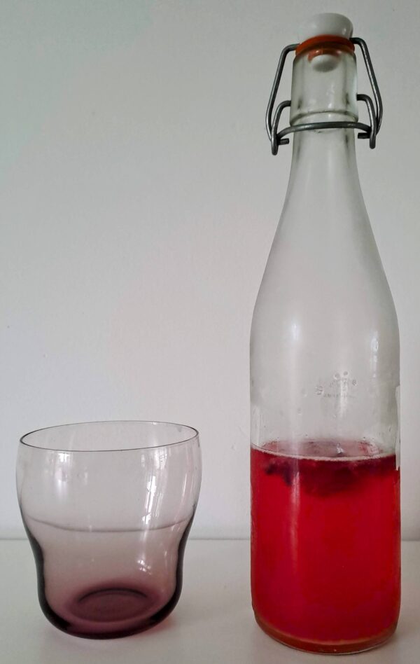 Kombucha doe-het-zelf pakket - Afbeelding 2