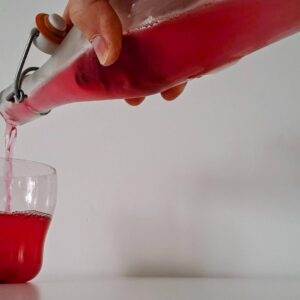 Kombucha doe-het-zelf pakket