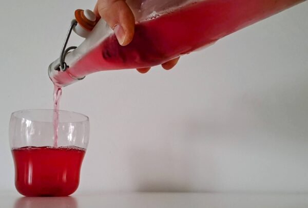 Kombucha doe-het-zelf pakket